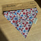 Bandana pour chien - Douceur Pastel đ·đ